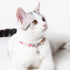 Pet Life ® Touchcat Lucky Charms Fashion Cat Necklace or Cat Collar with Designer Accent - 4 Pack