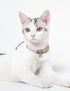 Pet Life ® Touchcat Lucky Charms Fashion Cat Necklace or Cat Collar with Designer Accent - 4 Pack