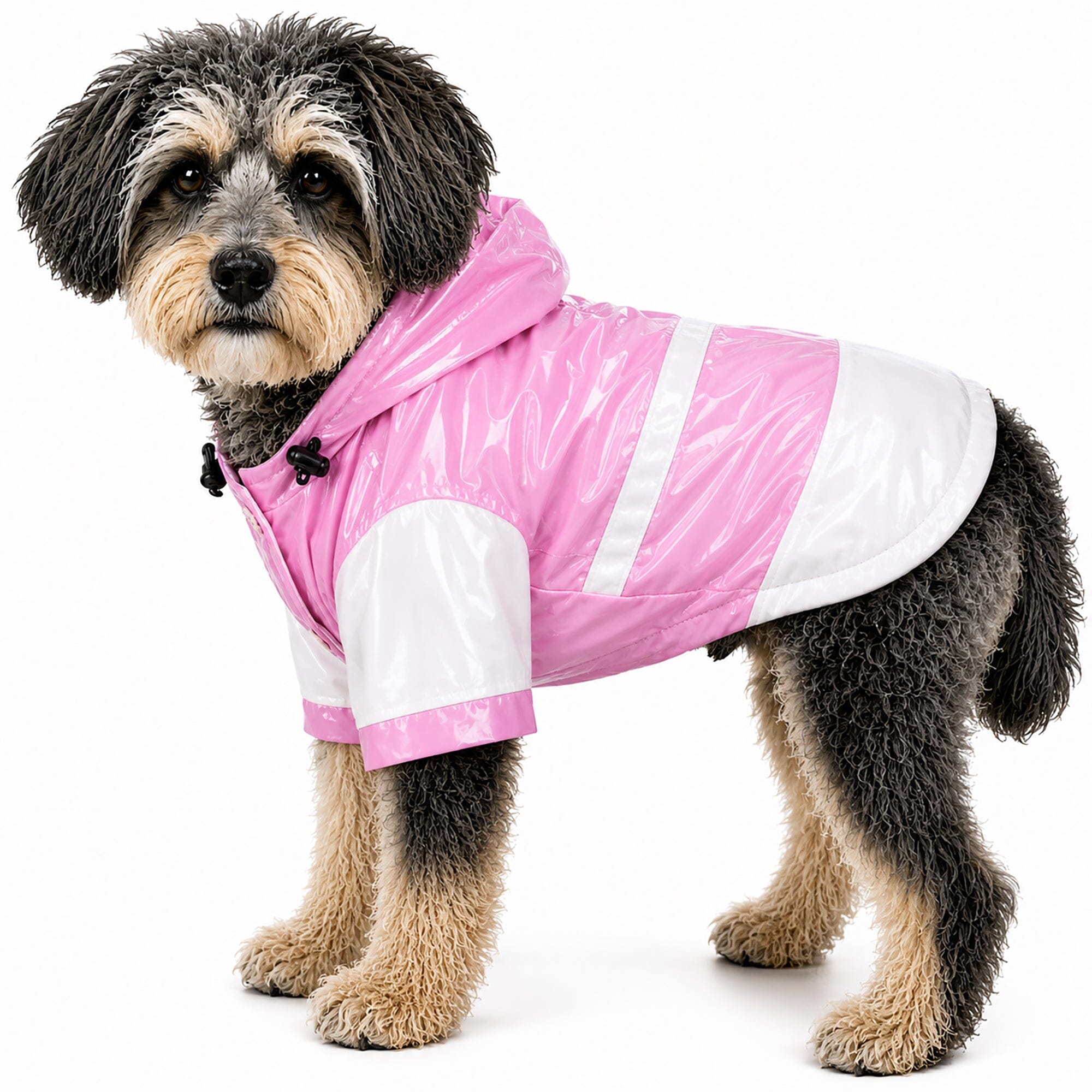 Pet Life ® 'Two-Tone' Waterproof Adjustable Dog Raincoat Jacket w/ Removable Hood X-Small