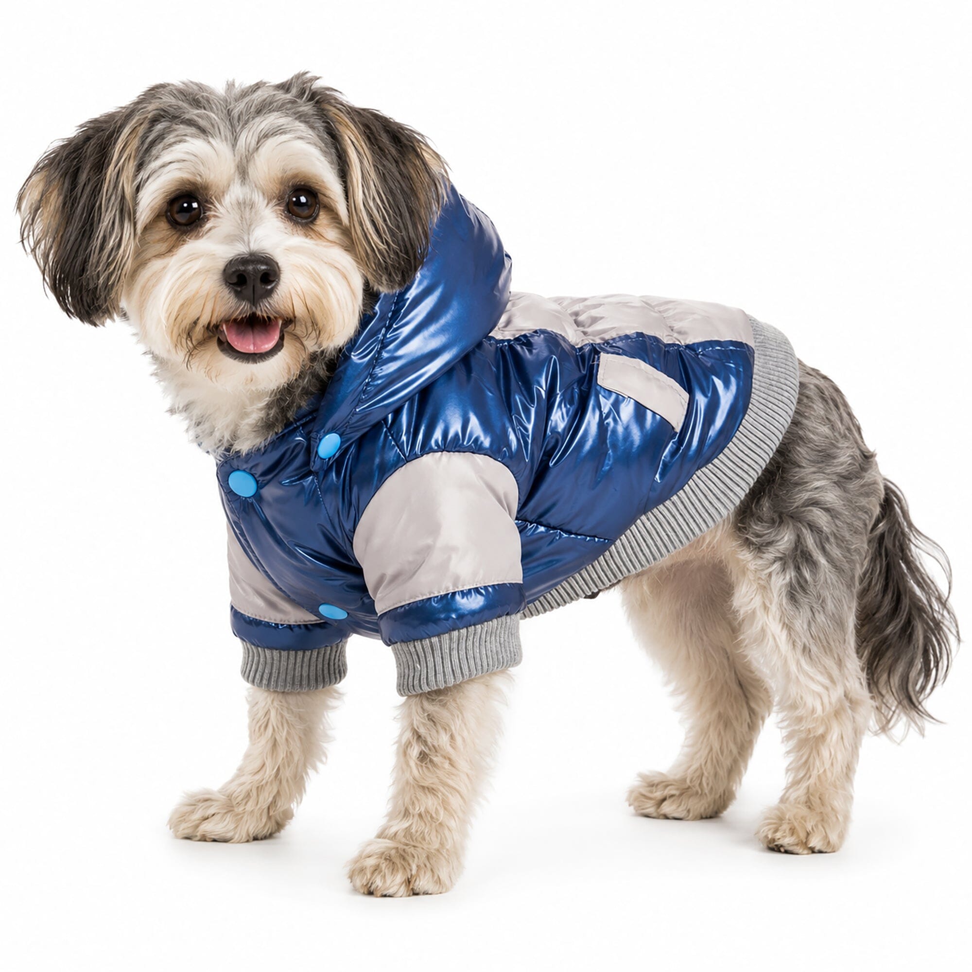 Pet Life ® 'Vintage Aspen' 3M Insulated Sporty Ski Dog Jacket w/ Removable Hood X-Small Blue