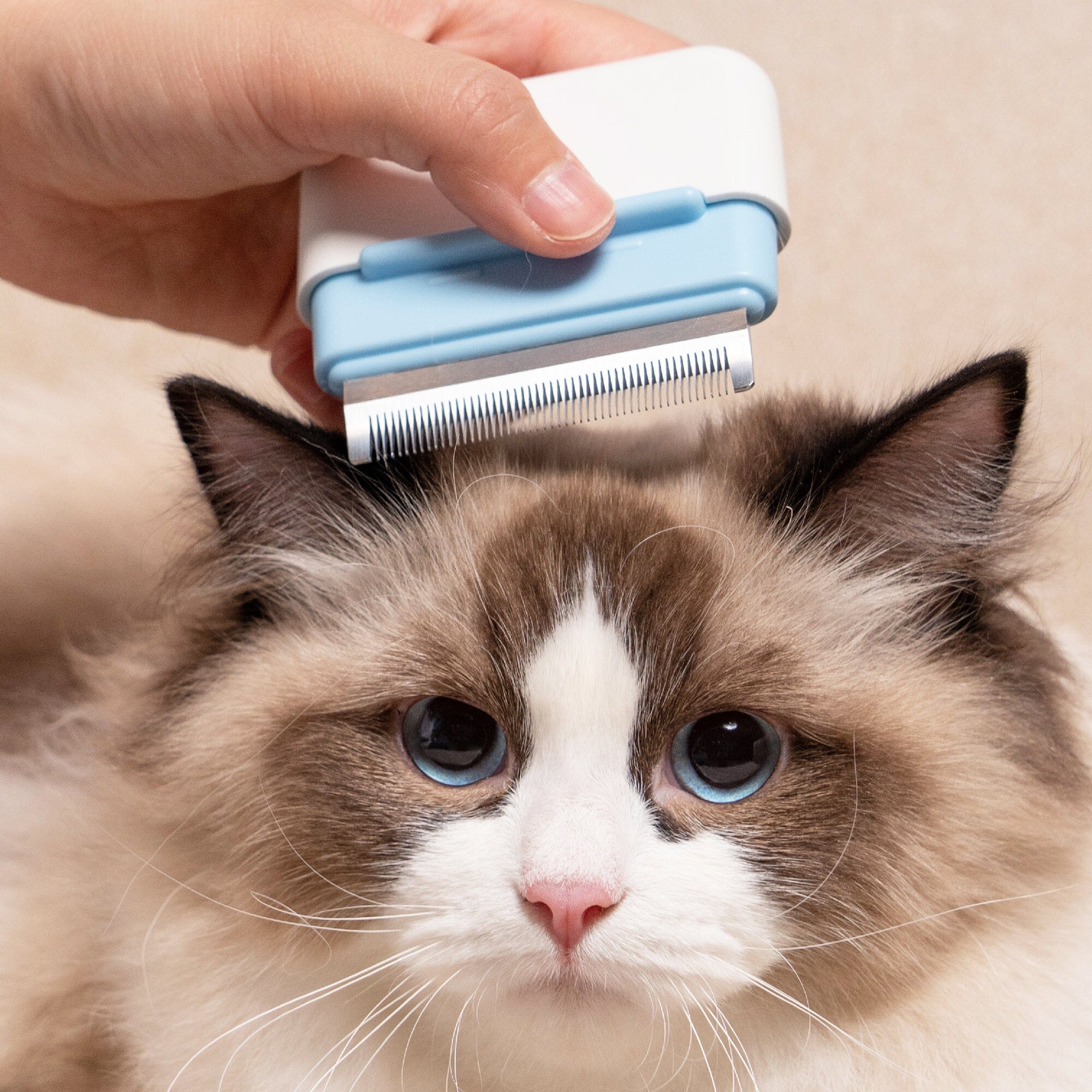 Pet Life ® 'Zipocket' 2-in-1 Underake and Stainless Steel Travel Grooming Pet Comb