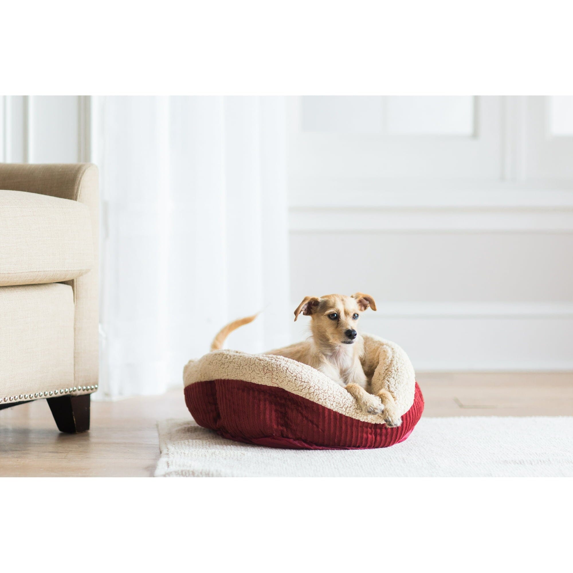 Petmate Aspen Self-Warming Rounded Sherpa Dog Bed - Barn Red/Cream - L:19.5 X W:19.5 X H:7 Inches