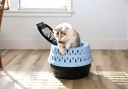 Petmate Get-A-Round Ergonomic Contour Rounded Cat Kennel Carrier - L:7.8 X W:19 X H:7.8 Inches