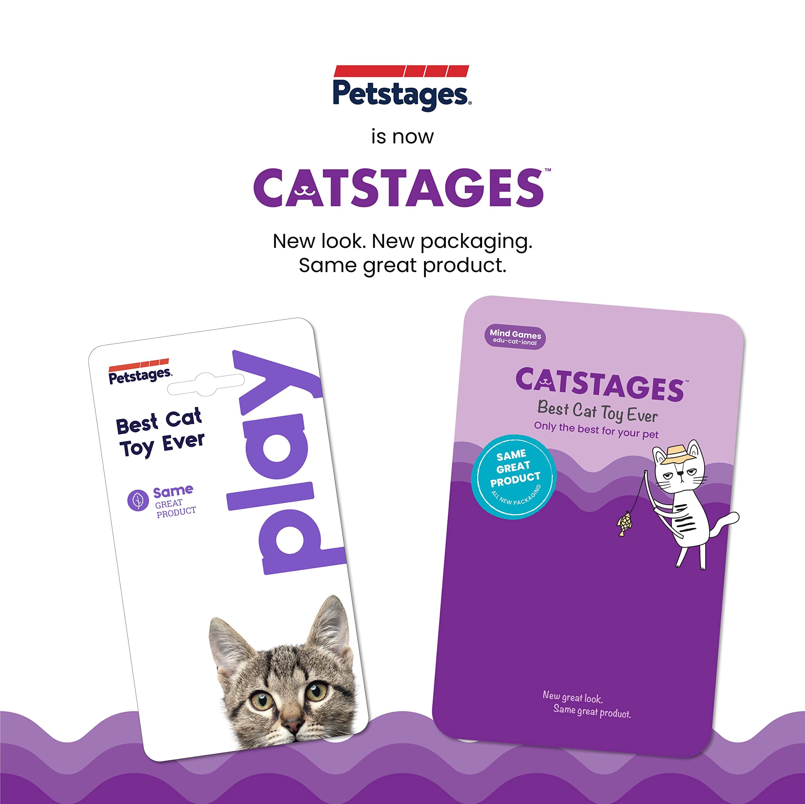 Petstages Buggin' Out Treat Dispensing Interactive Puzzle and Feeding Cat Toy  