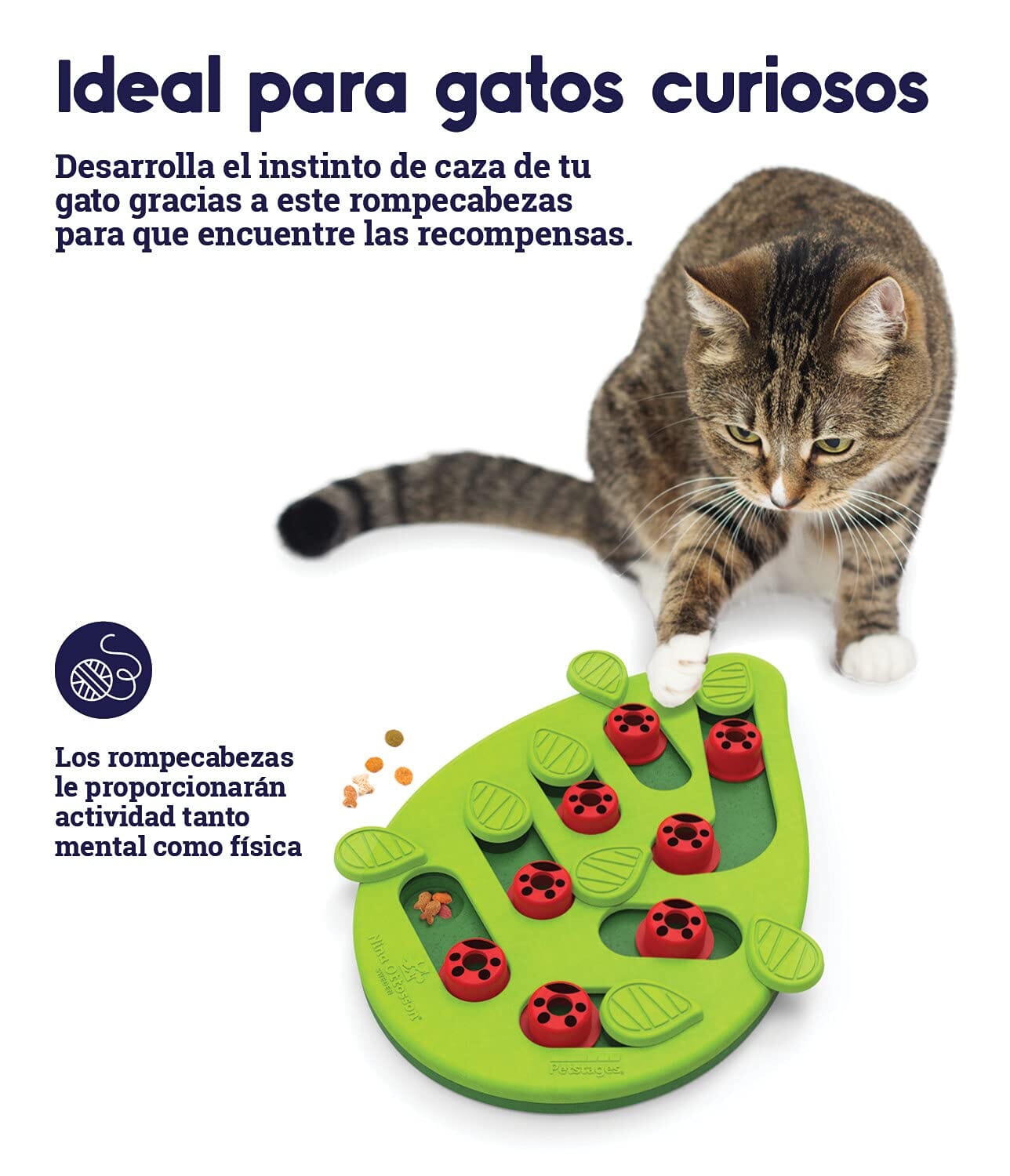 Petstages Buggin' Out Treat Dispensing Interactive Puzzle and Feeding Cat Toy  