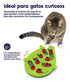 Petstages Buggin' Out Treat Dispensing Interactive Puzzle and Feeding Cat Toy  
