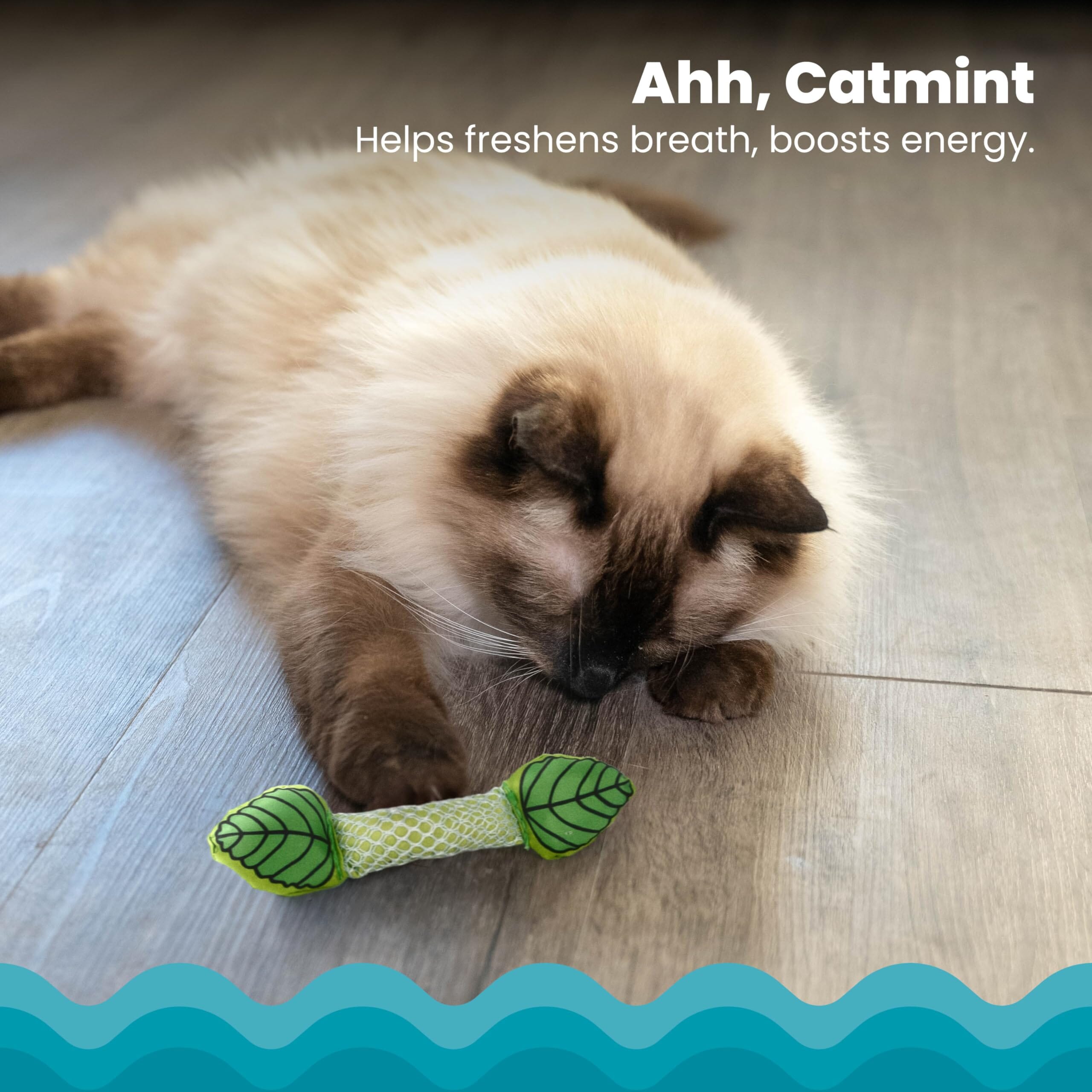 Petstages Fresh Breath Inner-Mint Flavored Dental Flossing Stick Plush Catnip Cat Toy  