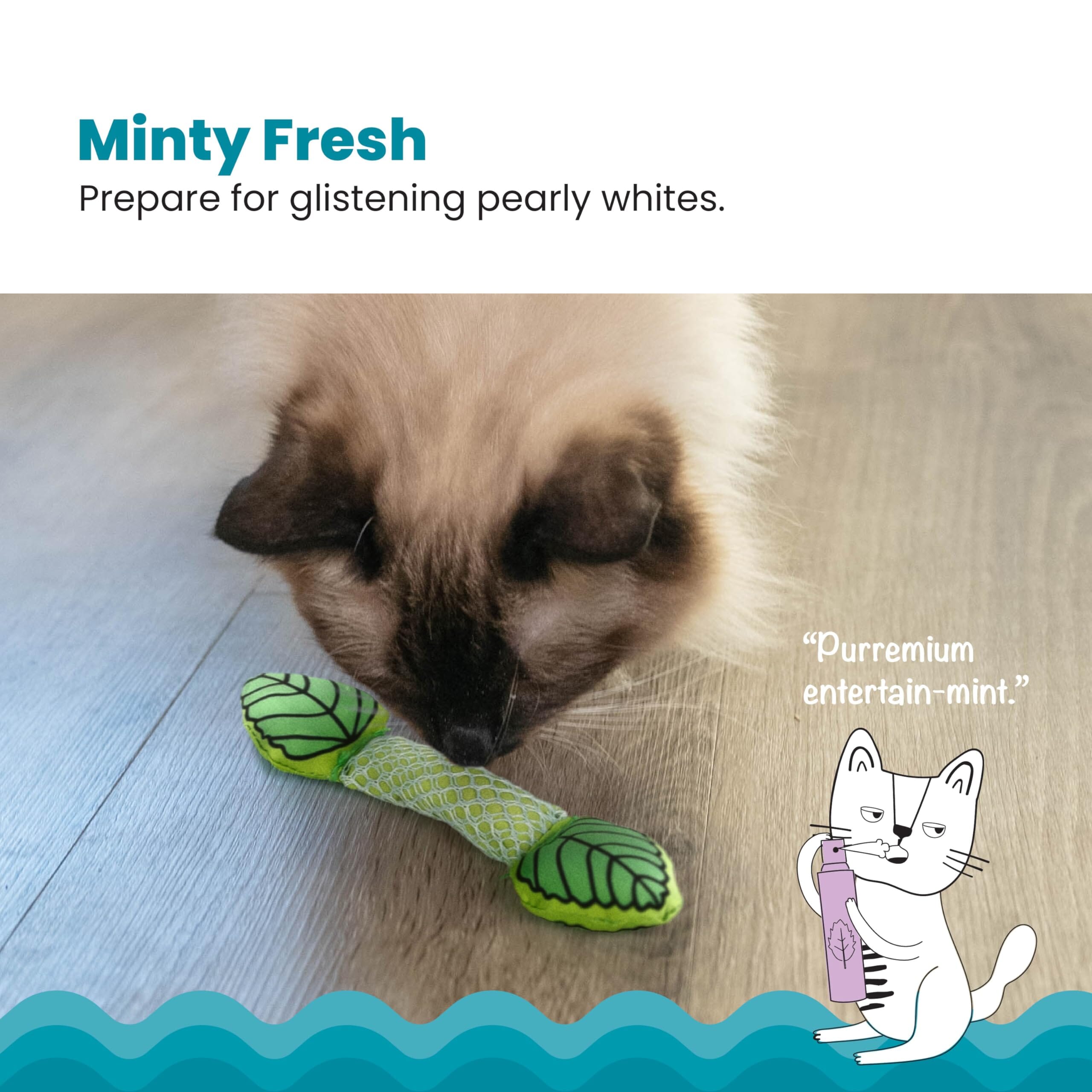 Petstages Fresh Breath Inner-Mint Flavored Dental Flossing Stick Plush Catnip Cat Toy  