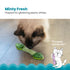 Petstages Fresh Breath Inner-Mint Flavored Dental Flossing Stick Plush Catnip Cat Toy  