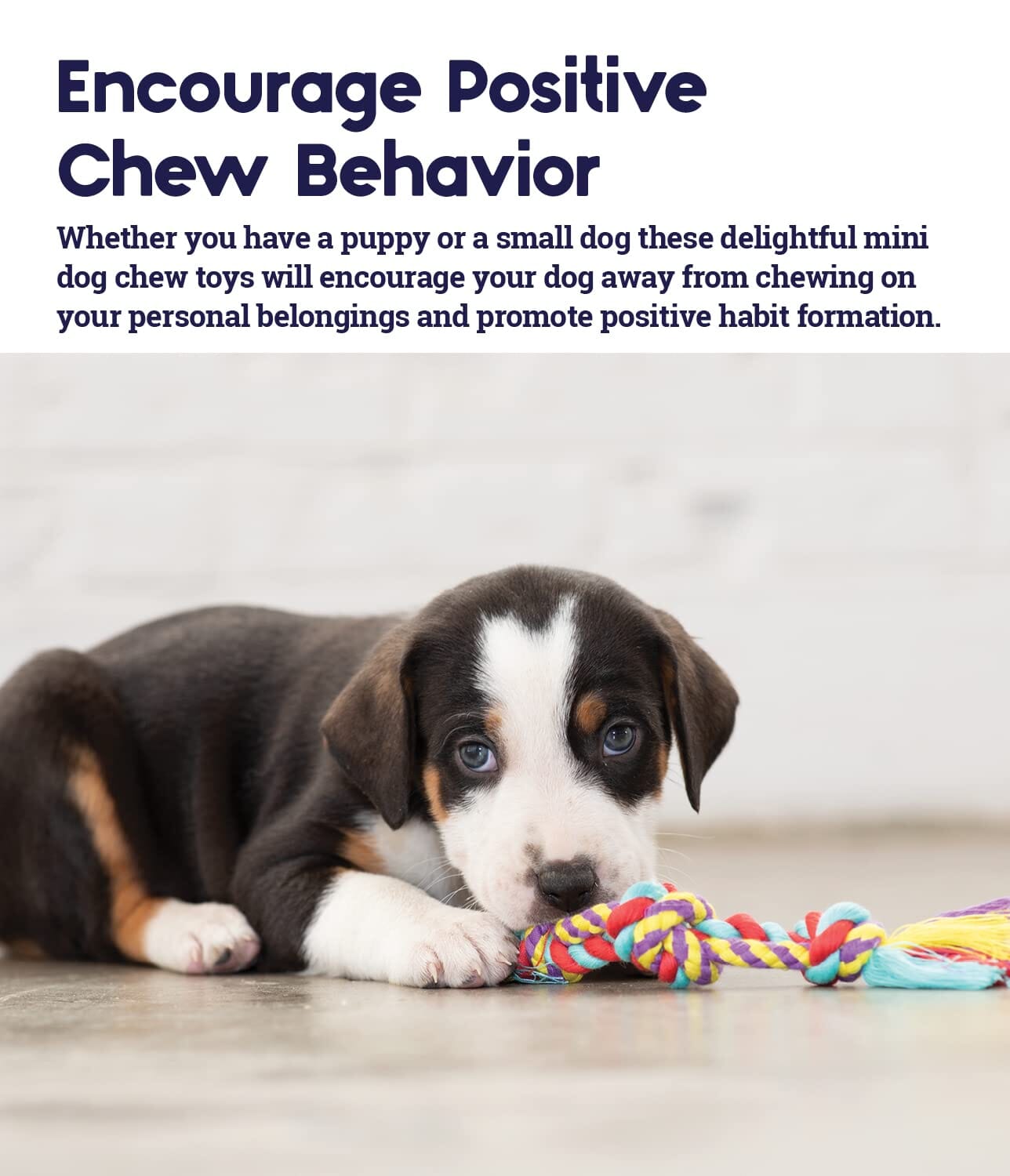 Petstages Orka Dental Pack Chew Puppy Dog Toys - Mini - 3 Pack  