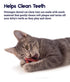 Petstages Plaque-Away Pretzel Dental Flossing and Plush Catnip Cat Toy  