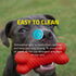 Playology Beef Scented Dual Layered Bone Rubber Dog Toy with Encapsiscent Technology - Red - Small  