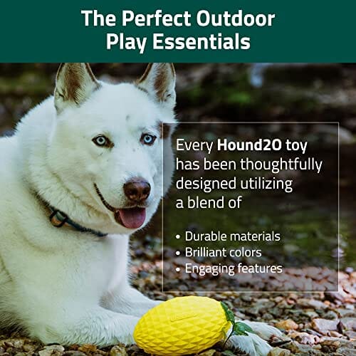 Playology Hound2O Squeaky Football Squeak and Floating Rubber Dog Toy - Yellow