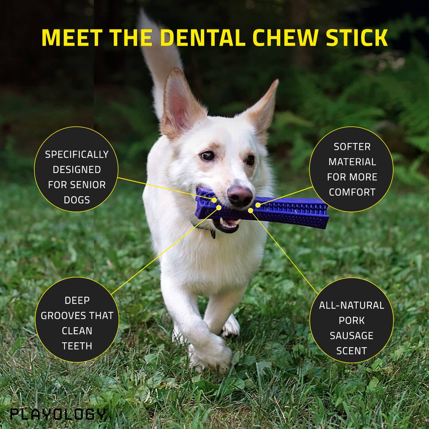 Playology Pork Scented Dental Chew Stick Rubber Dog Toy with Encapsiscent Technology - Medium  