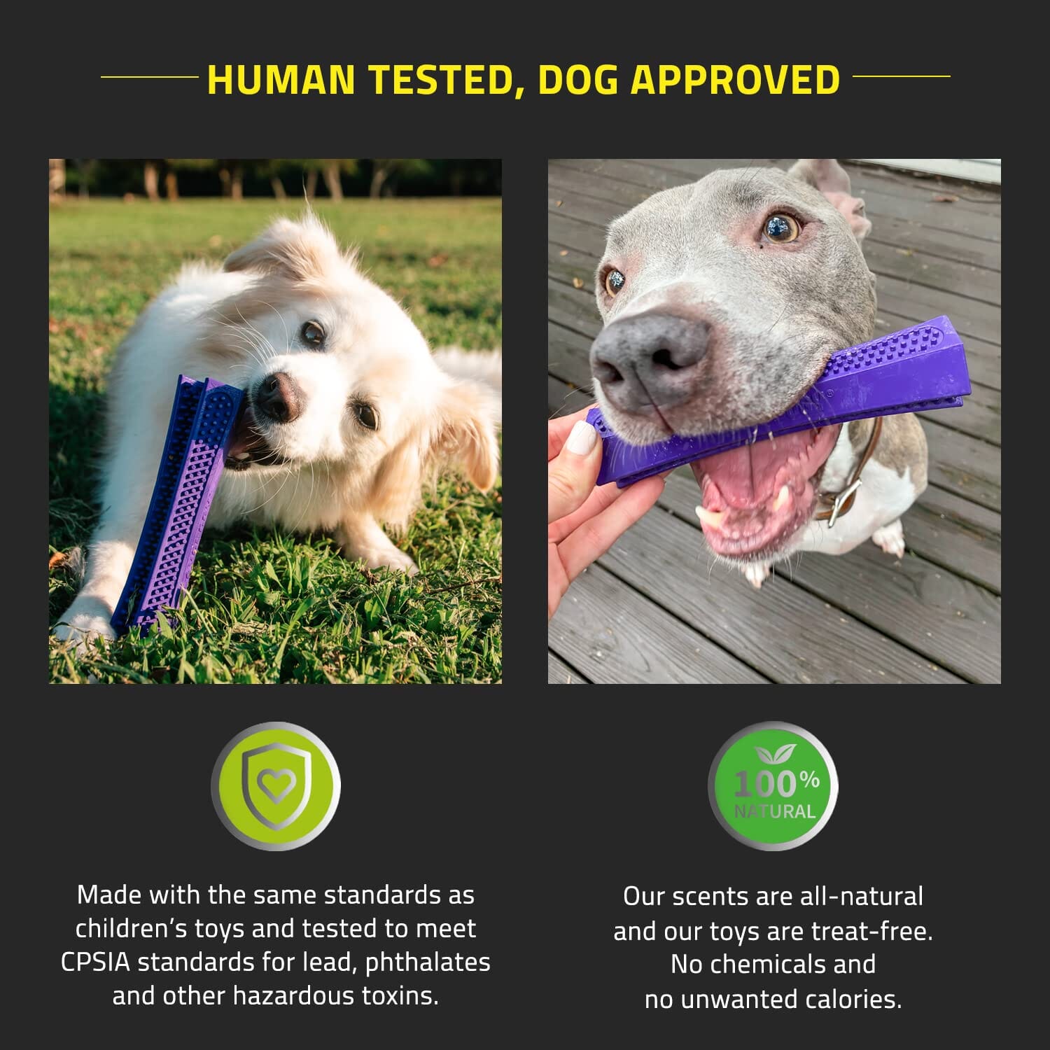 Playology Pork Scented Dental Chew Stick Rubber Dog Toy with Encapsiscent Technology - Medium  