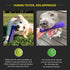 Playology Pork Scented Dental Chew Stick Rubber Dog Toy with Encapsiscent Technology - Medium  