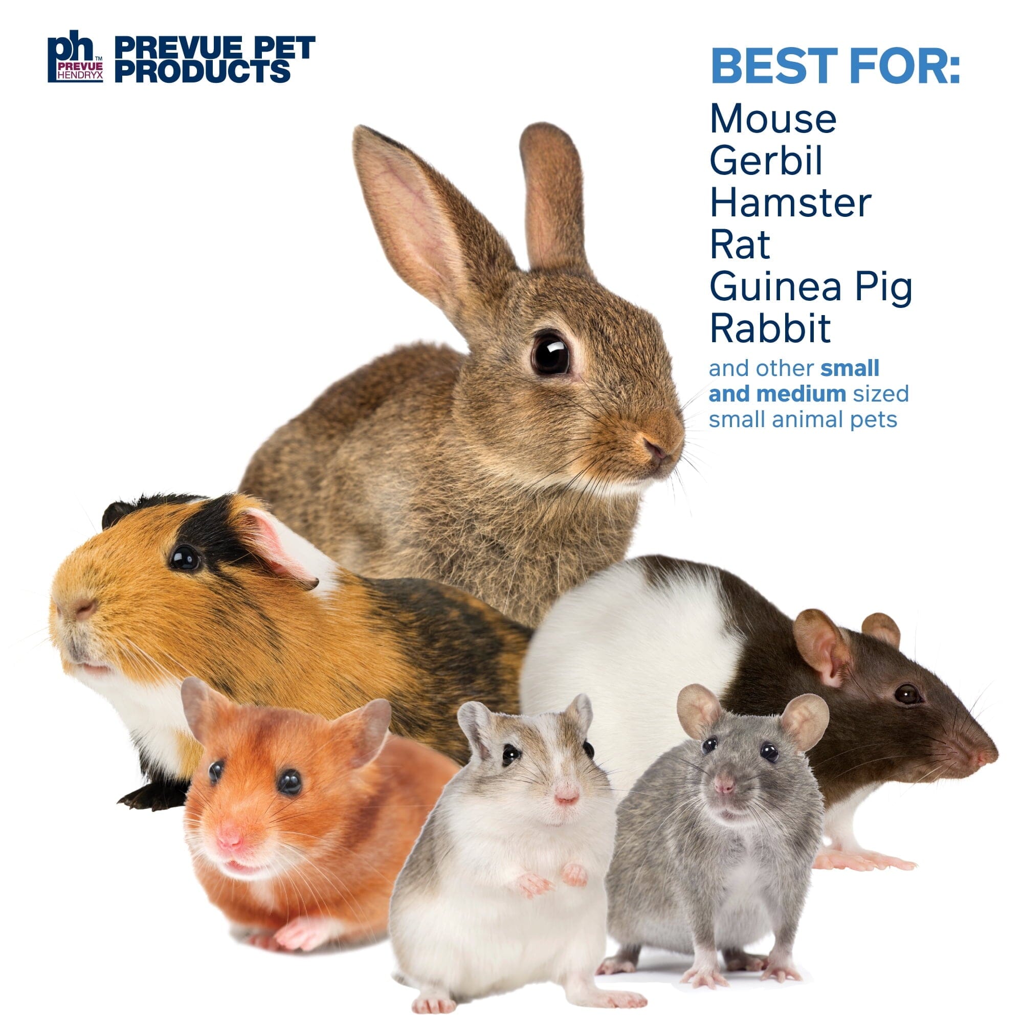 Prevue Pet Products Hexagon Forage N' Play Tunnel Small Animal Toy and Hideout