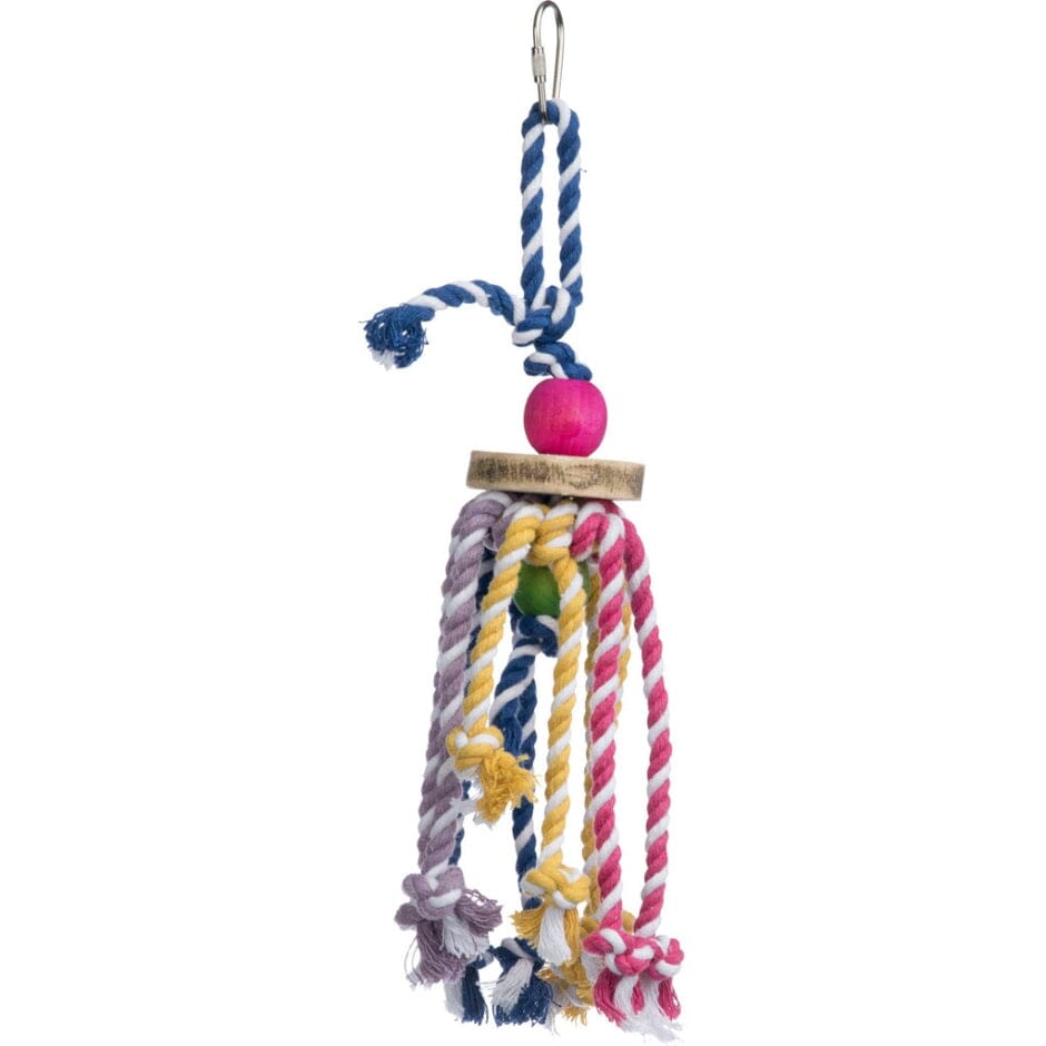 Prevue Pet Products Playfuls Physical and Mental Court Jester Hanging Bird Toy Default Title