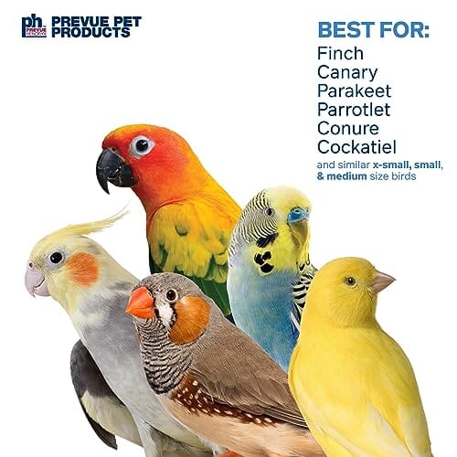 Prevue Pet Products Playfuls Sunburst Preen and Pacify Hanging Bird Toy