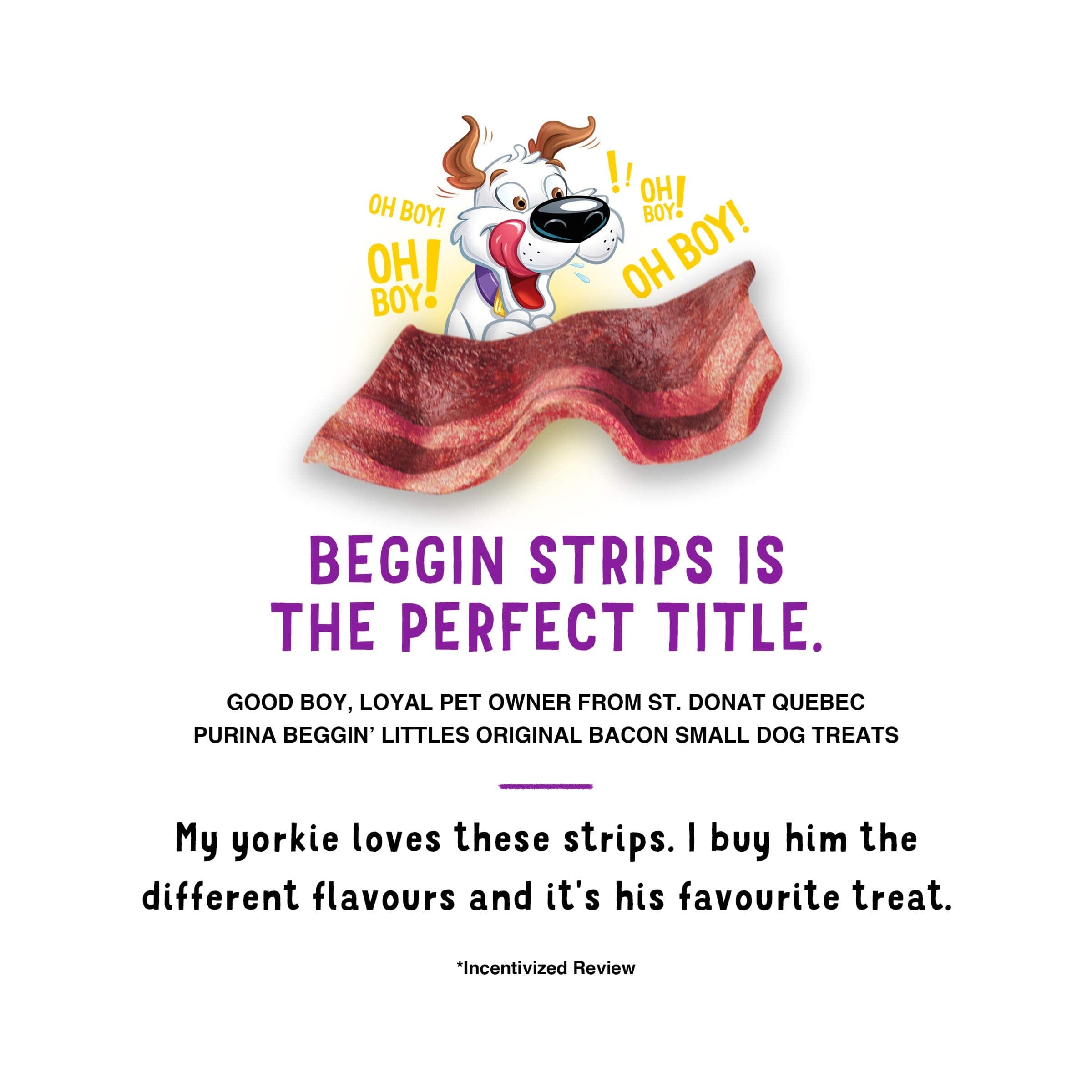 Purina Beggin' Strips Littles Bacon Flavored Small-Breed Chewy Jerky Dog Treats - 25 Oz - 4 Pack  