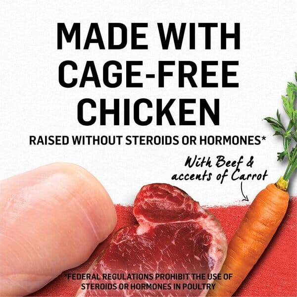 Purina Beyond Grain-Free Chicken, Beef & Carrot Recipe in Gravy Canned Cat Food