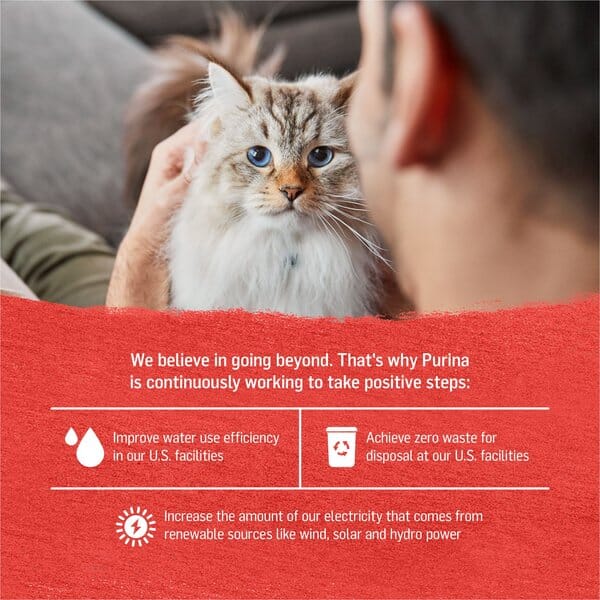Purina Beyond Grain-Free Chicken, Beef & Carrot Recipe in Gravy Canned Cat Food