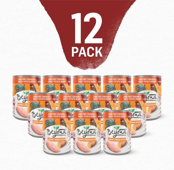 Purina Beyond Immune Health Grain-Free and Cage-Free Chicken and Sweet Potato Canned Dog Food - 12.7 Oz - Case of 12