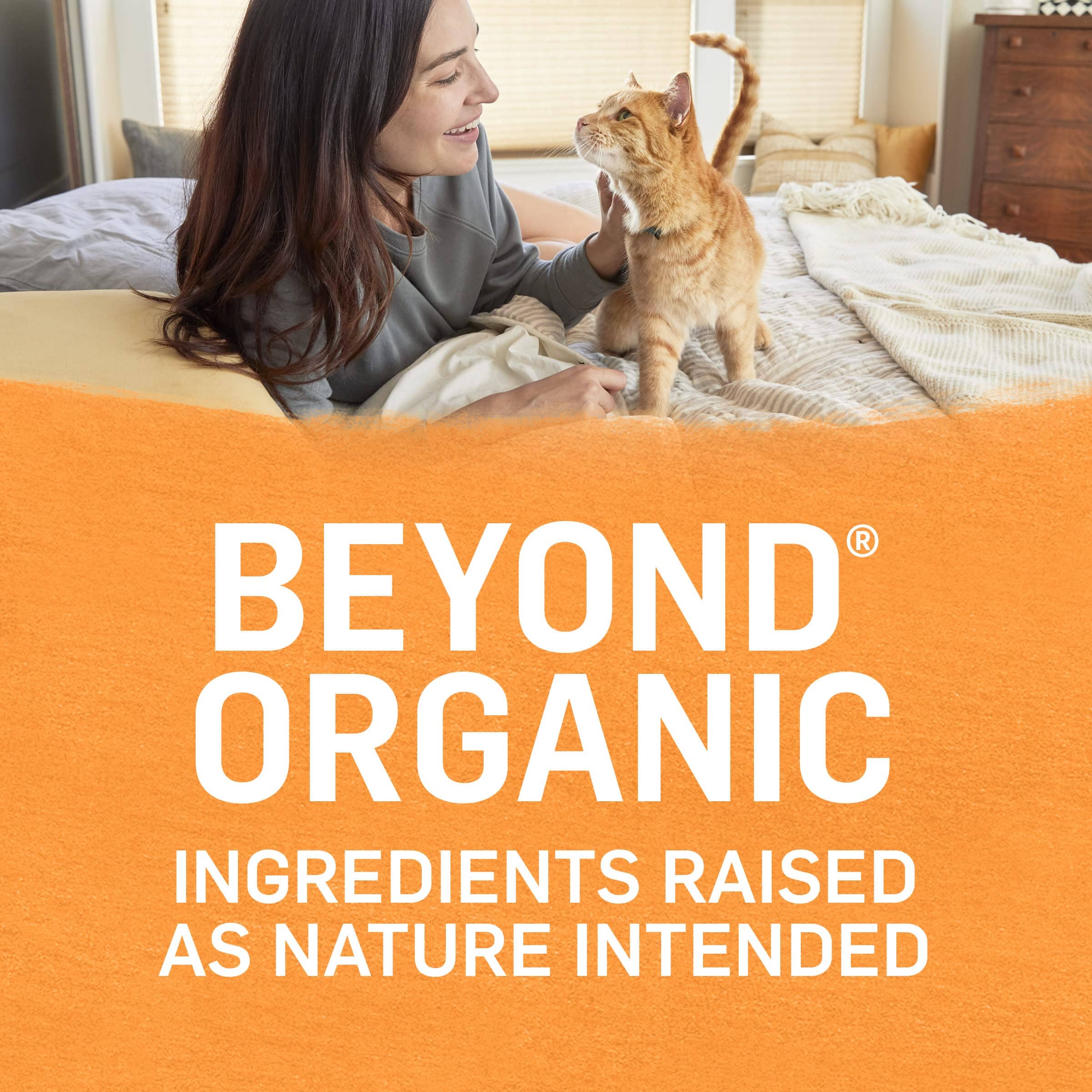 Purina Beyond Organic Chicken and Carrots Canned Cat Food - 3 Oz - Case of 12  