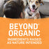 Purina Beyond Organic Chicken and Carrots with Broth Adult Entrée Canned Dog Food - 13 Oz - Case of 12  