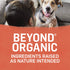 Purina Beyond Organic Chicken and Sweet Potato with Broth Adult Canned Dog Food - 13 Oz - Case of 12  