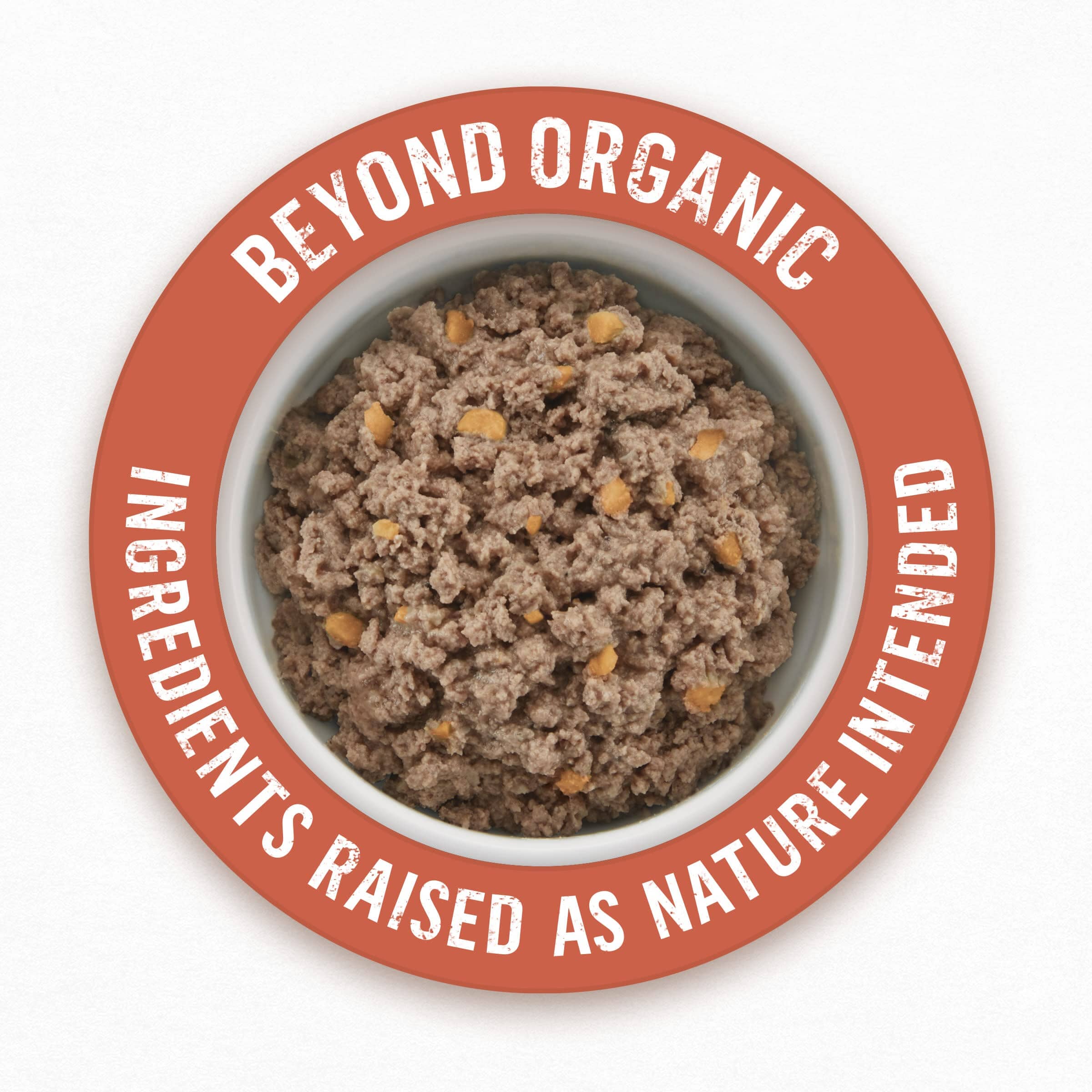 Purina Beyond Organic Chicken and Sweet Potato with Broth Adult Canned Dog Food - 13 Oz - Case of 12  