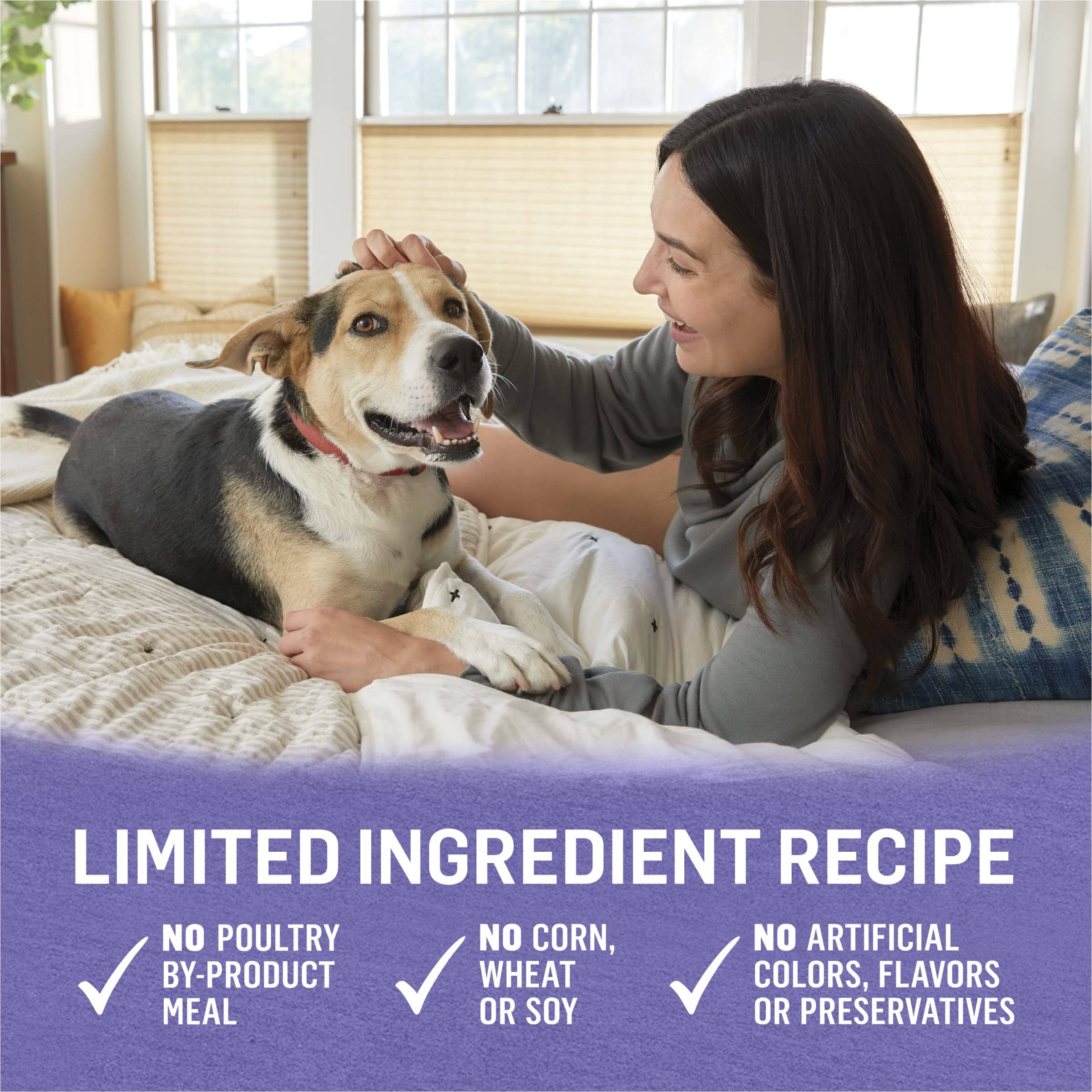 Purina Beyond Organic High-Protein Chicken Carrot and Sweet Potato Pate Canned Dog Food - Variety Pack - 13 Oz - Case of 6 - 2 Pack  