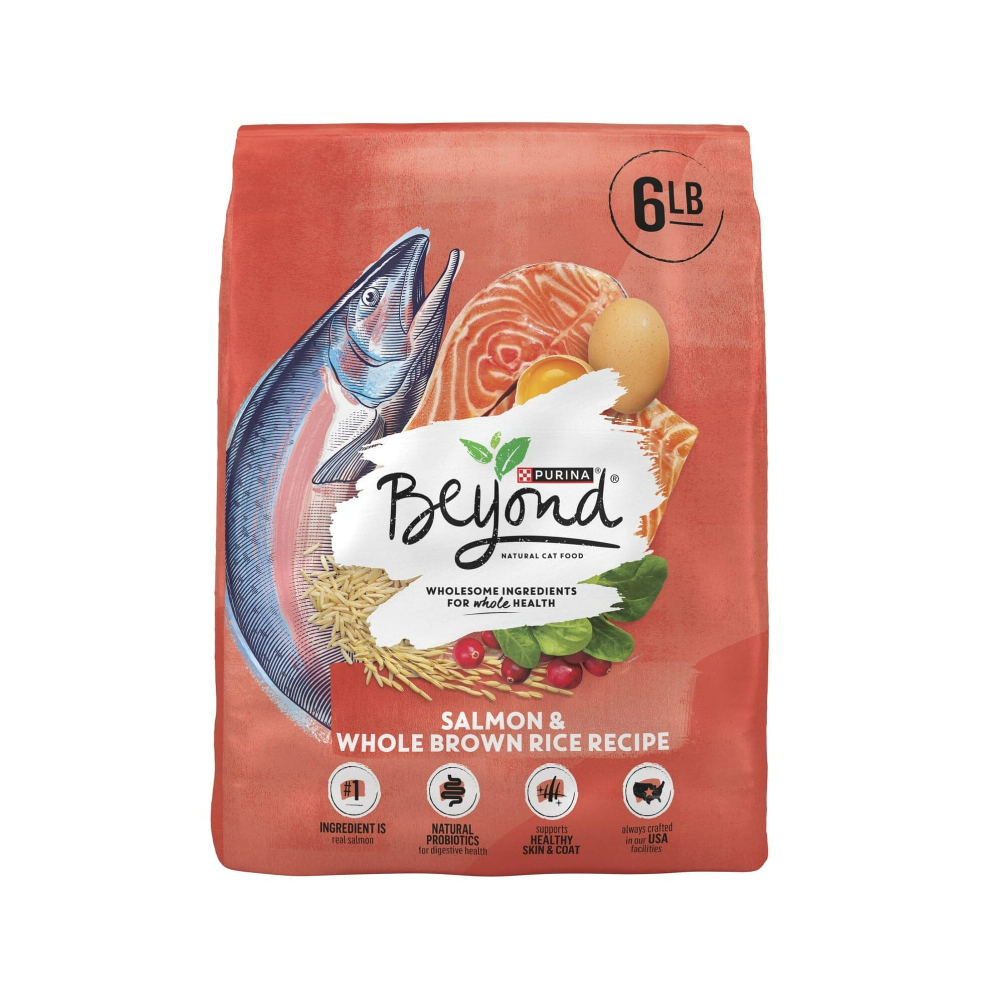 Purina Beyond Salmon and Brown Rice Adult Dry Cat Food - 6 Lbs - Case of 4