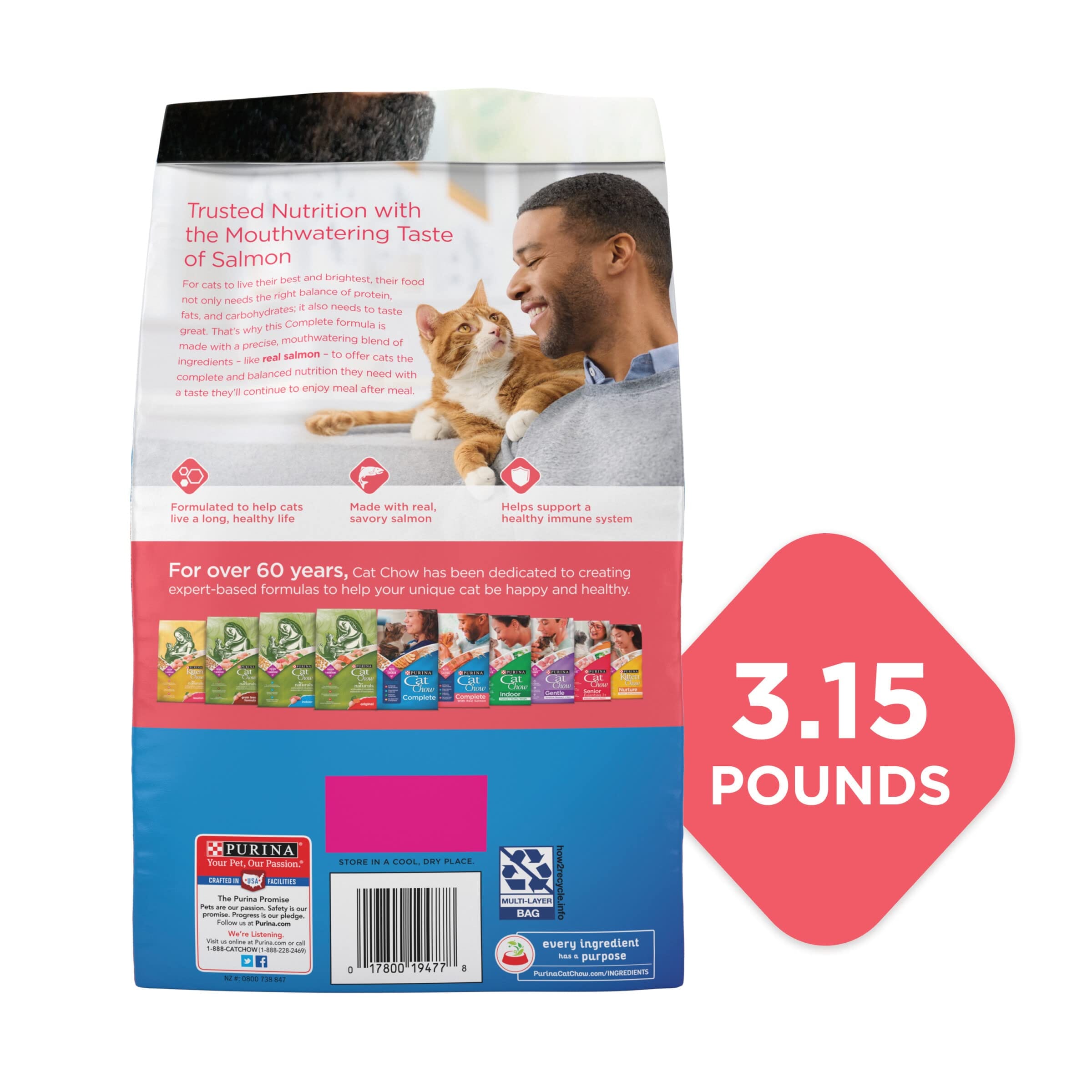 Purina Cat Chow Complete Salmon Dry Cat Food - 15 Lbs  