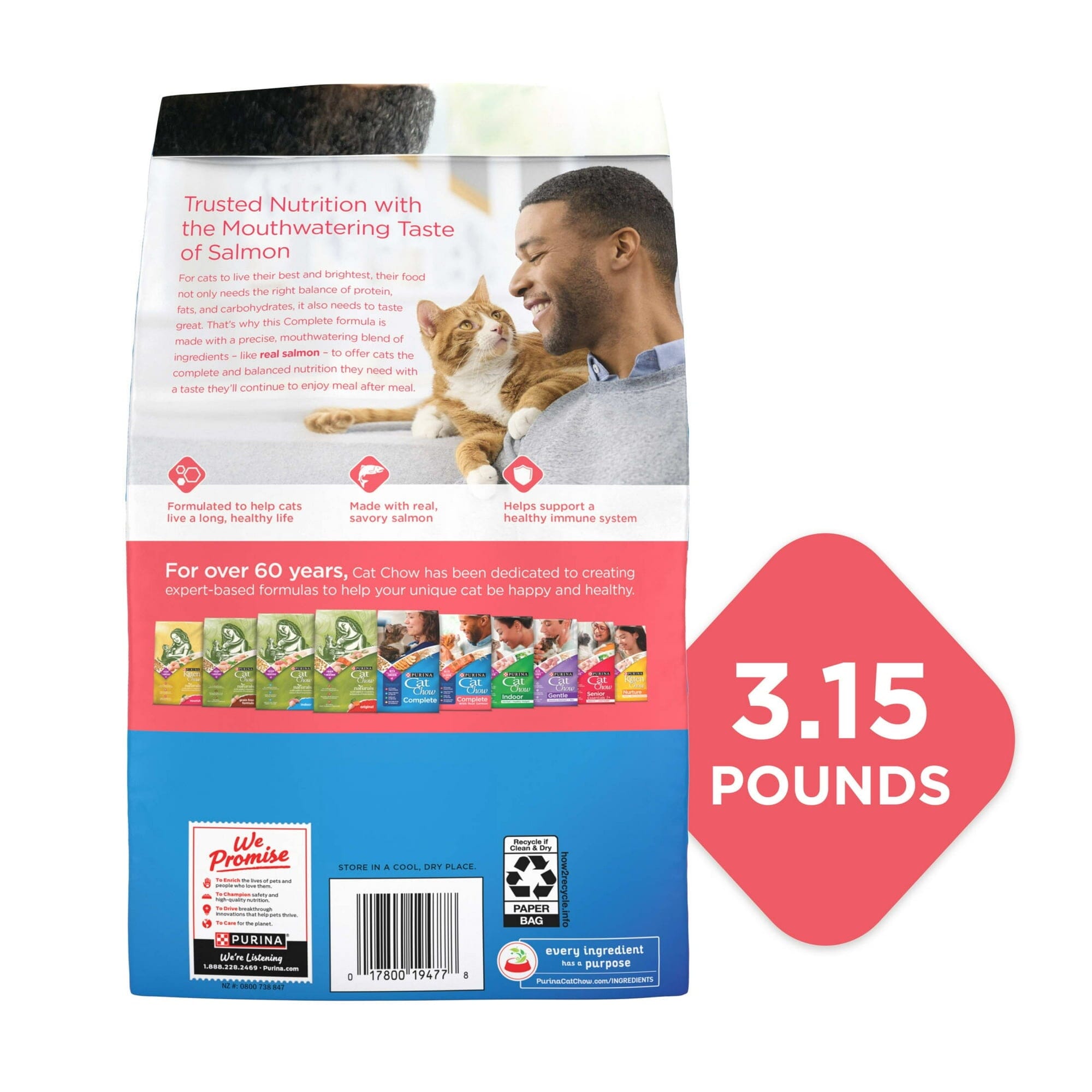Purina Cat Chow Complete Salmon Dry Cat Food - 3.15 Lbs - Case of 4
