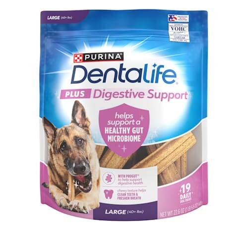 Purina DentaLife + Digestive Support Chicken and Pumpkin Dental Dog Treats - Large 19 Count - 22.6 Oz - Case of 4