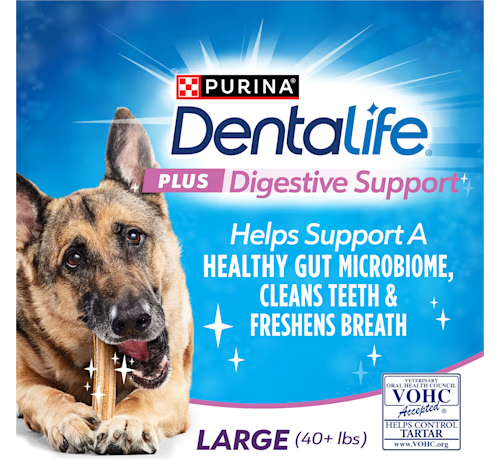 Purina DentaLife + Digestive Support Chicken and Pumpkin Dental Dog Treats - Large