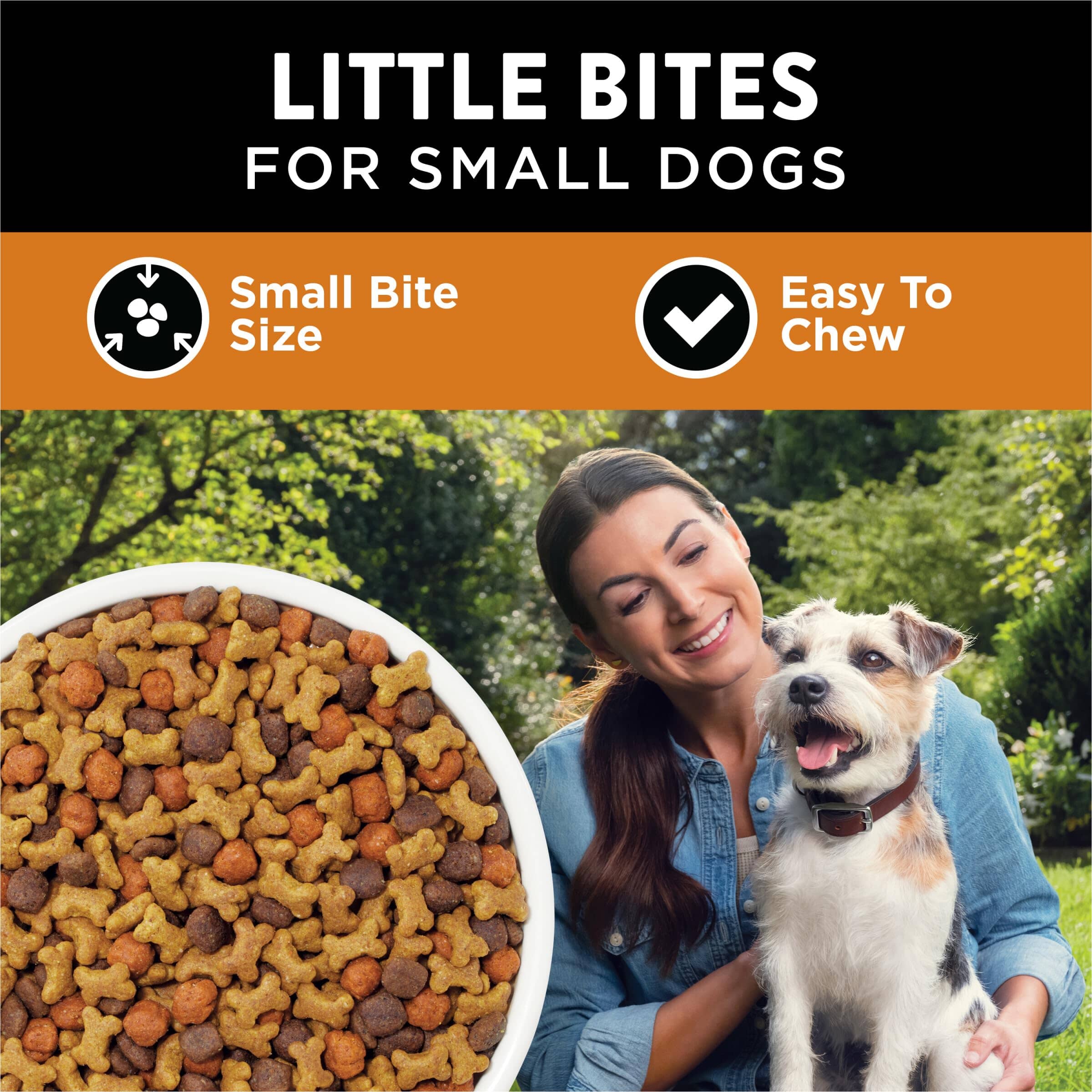 Purina Dog Chow Complete and Balanced Lil' Bites Real Chicken and Beef Small-Breed Dry Dog Food - 15 Lbs  