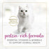 Purina Fancy Feast Gravy Lovers Chicken Feast Gourmet Pate in Gravy Canned Cat Food - 3 Oz - Case of 24