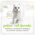 Purina Fancy Feast Gravy Lovers Salmon Feast Gourmet Pate in Gravy Canned Cat Food - 3 Oz - Case of 24