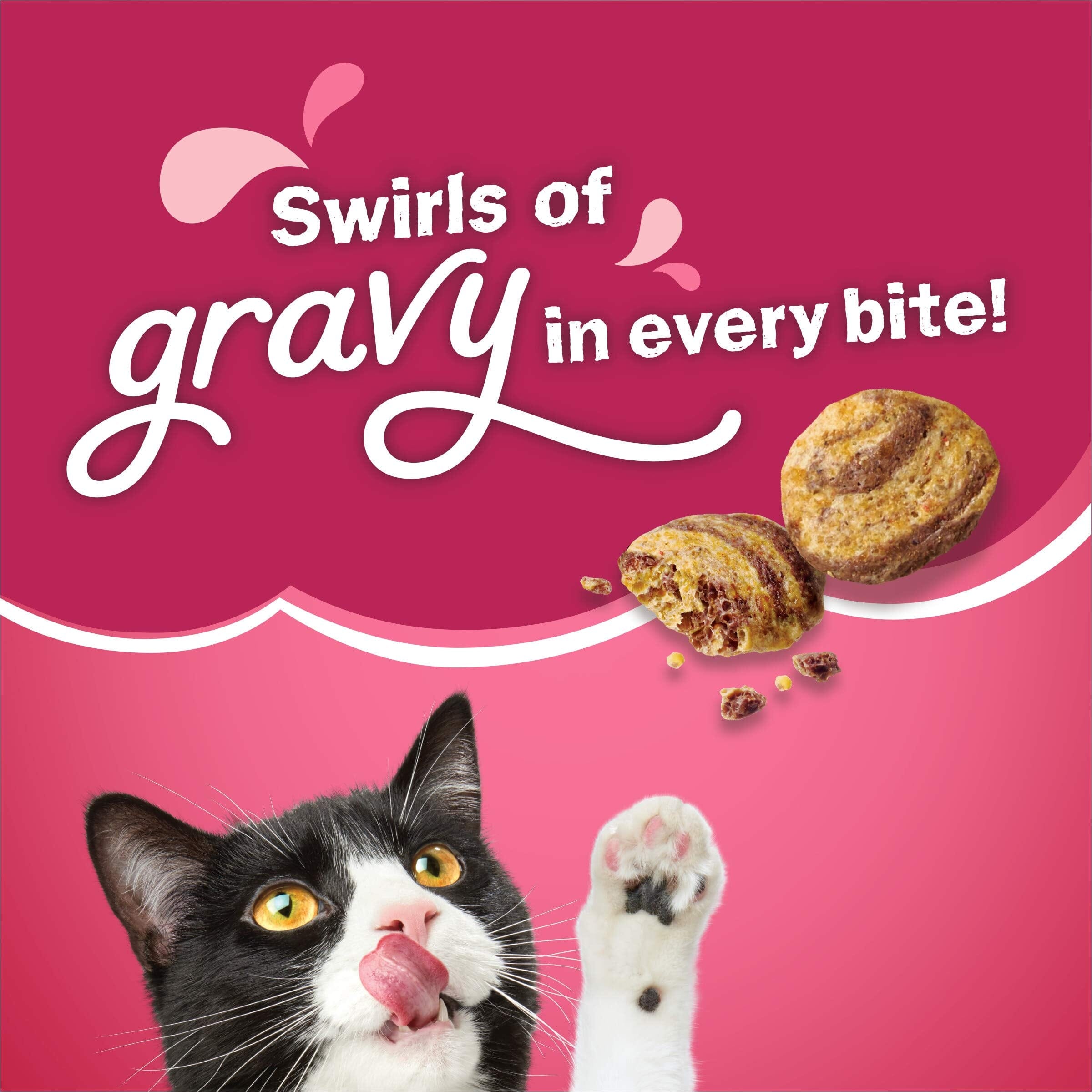 Purina Friskies Gravy Swirlers with Chicken Salmon and Dried Gravy Adult Dry Cat Food - 22 Lbs  