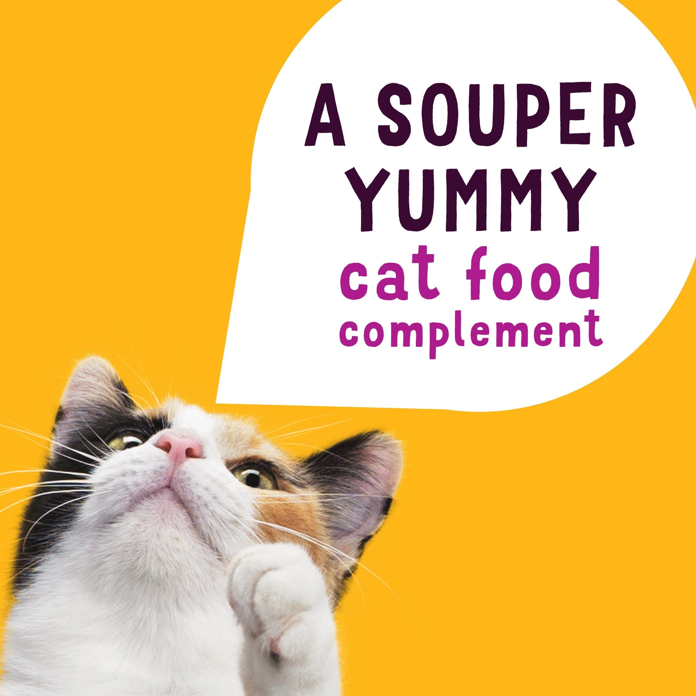 Purina Friskies Lil' Soups Compliments Shrimp in Chicken Broth Puree Wet Cat Food Topper or Treat - 1.2 Oz - Case of 8  