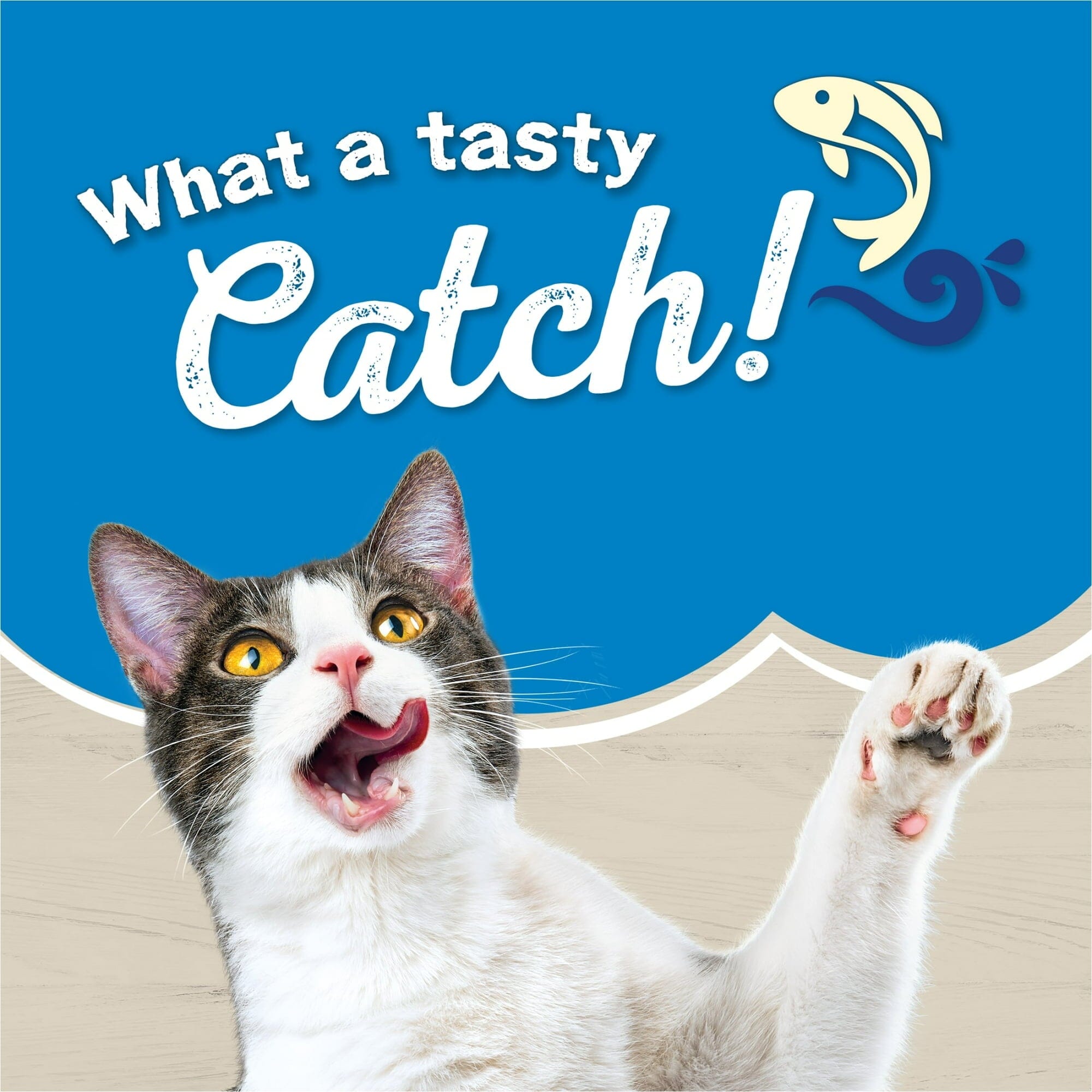 Purina Friskies Ocean Favorites Salmon Peas and Brown Rice Dry Cat Food - 16 Lbs