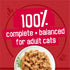 Purina Friskies Prime Filets Beef Chicken Turkey and Whitefish Canned Cat Food - Variety Pack - 5.5 Oz - Case of 48