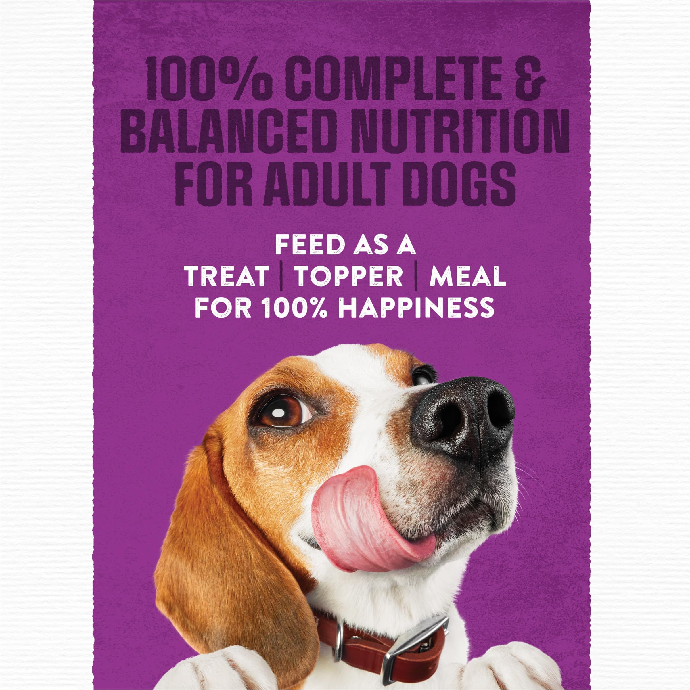 Purina Moist and Meaty Chopped Burger real Beef Dry Dog Food Pouches - 36 Pack - 216 Oz  