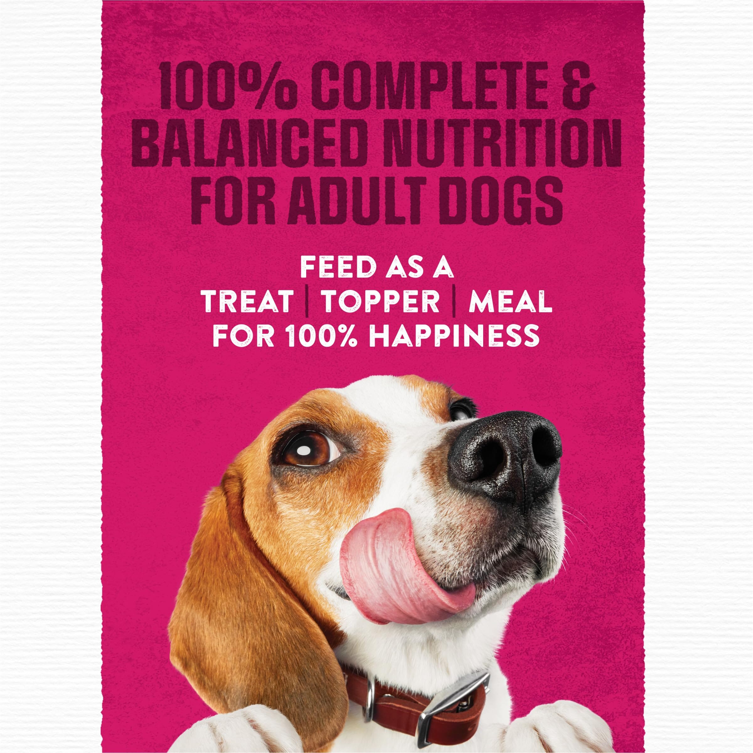 Purina Moist and Meaty Steak Flavor Dry Dog Food Pouches - 36 Pack - 216 Oz  
