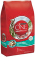 Purina ONE Large Breed Puppy Formula Dry Dog Food  