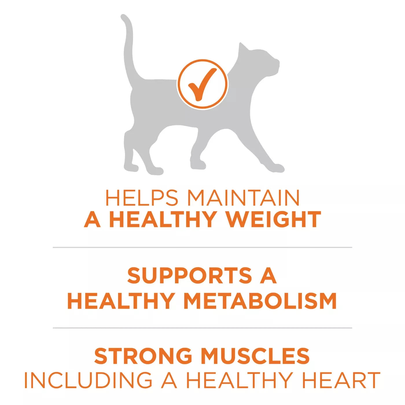 Purina One + Plus Ideal Weight and High-Protein Turkey Dry Cat Food - 16 Lbs