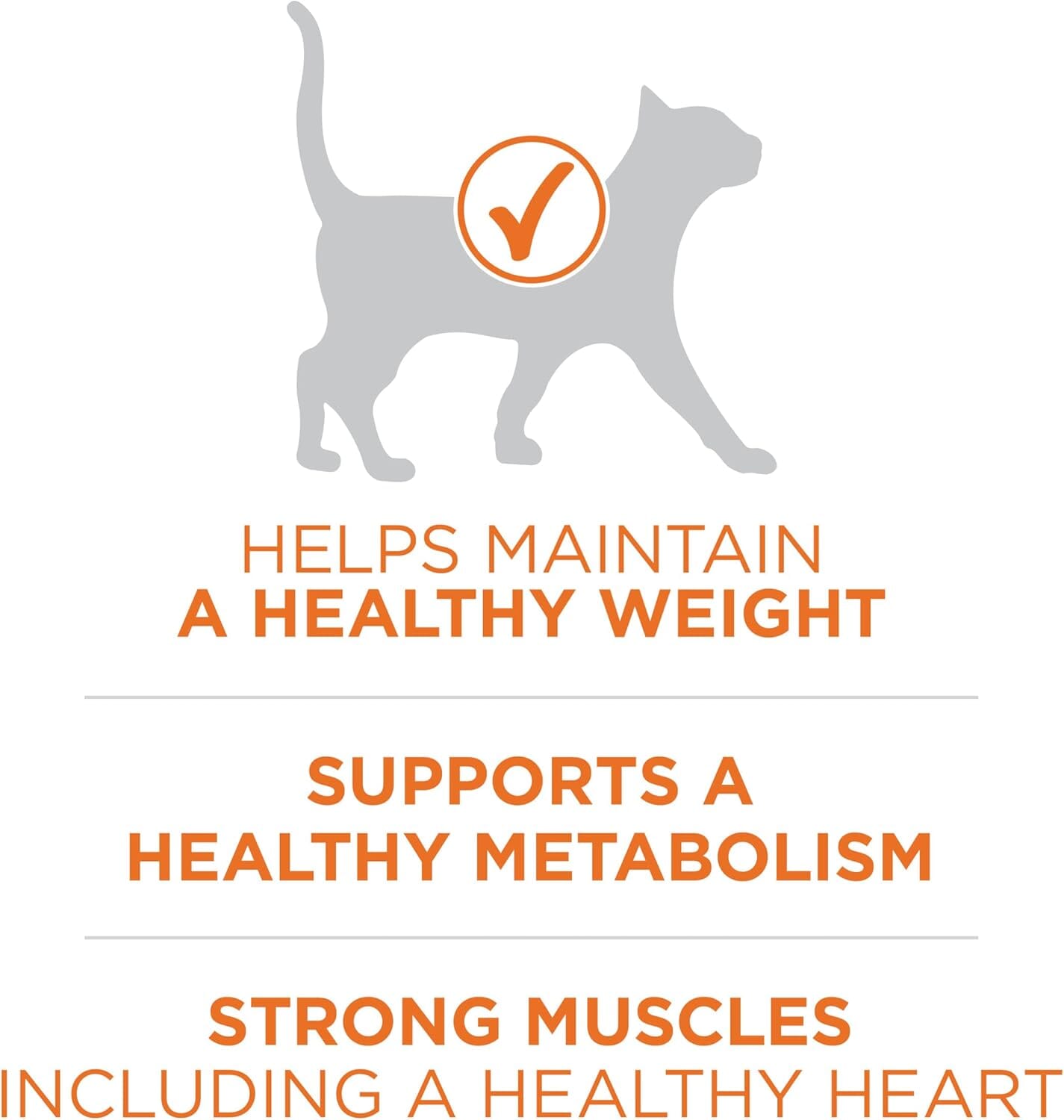 Purina One + Plus Ideal Weight and High-Protein Turkey Dry Cat Food - 3.5 Lbs - Case of 4