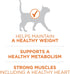 Purina One + Plus Ideal Weight and High-Protein Turkey Dry Cat Food - 3.5 Lbs - Case of 4